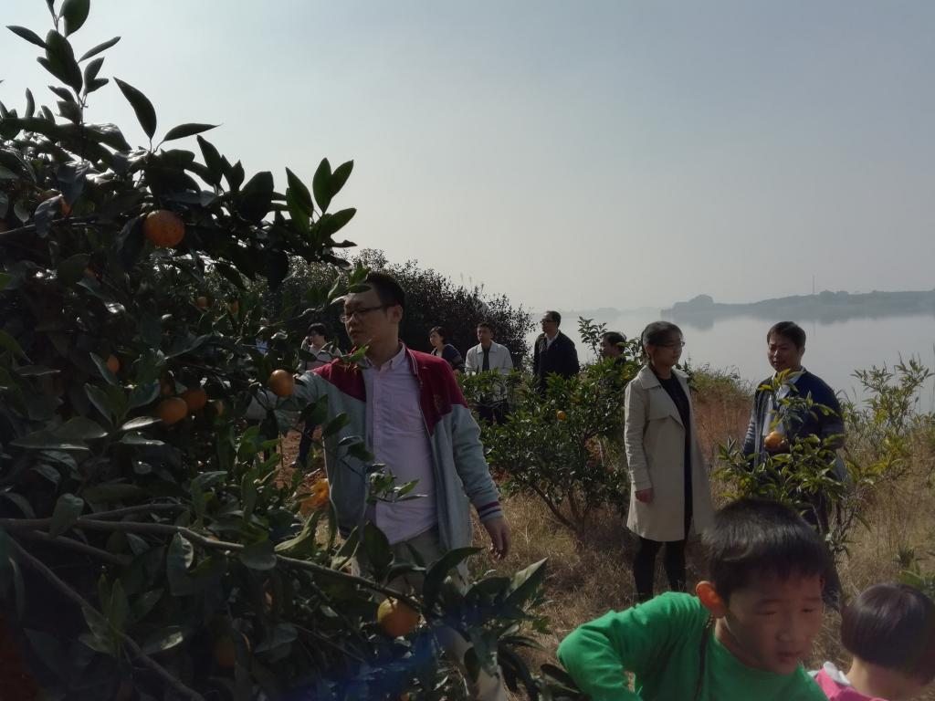 388vip太阳集团