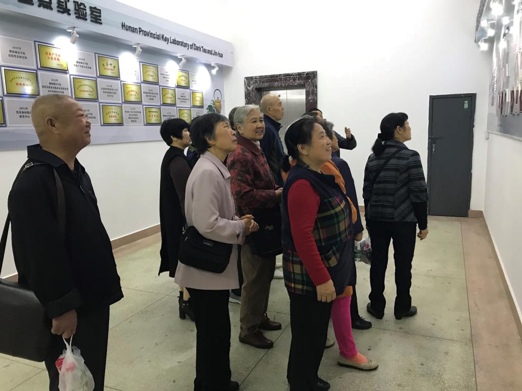 388vip太阳集团