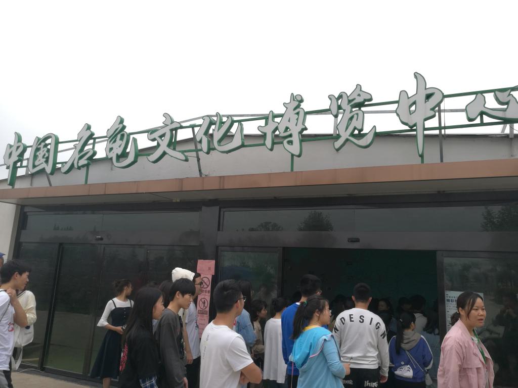 388vip太阳集团