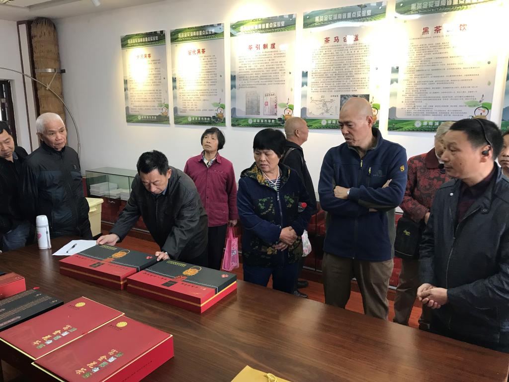 388vip太阳集团
