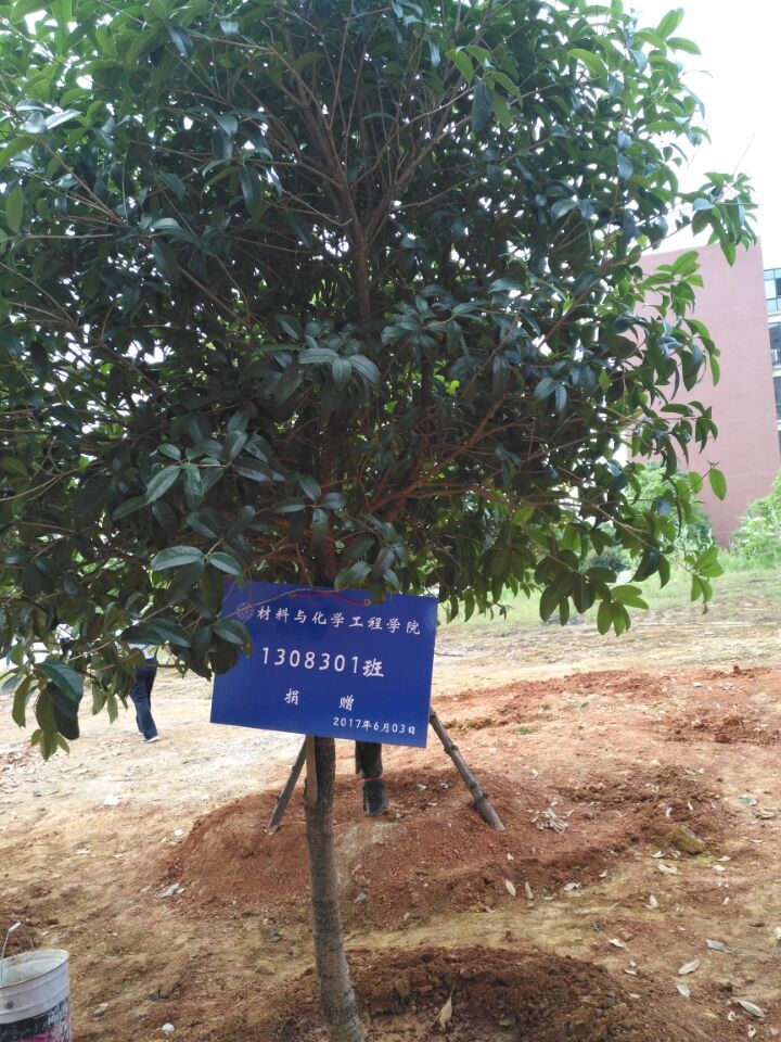 388vip太阳集团